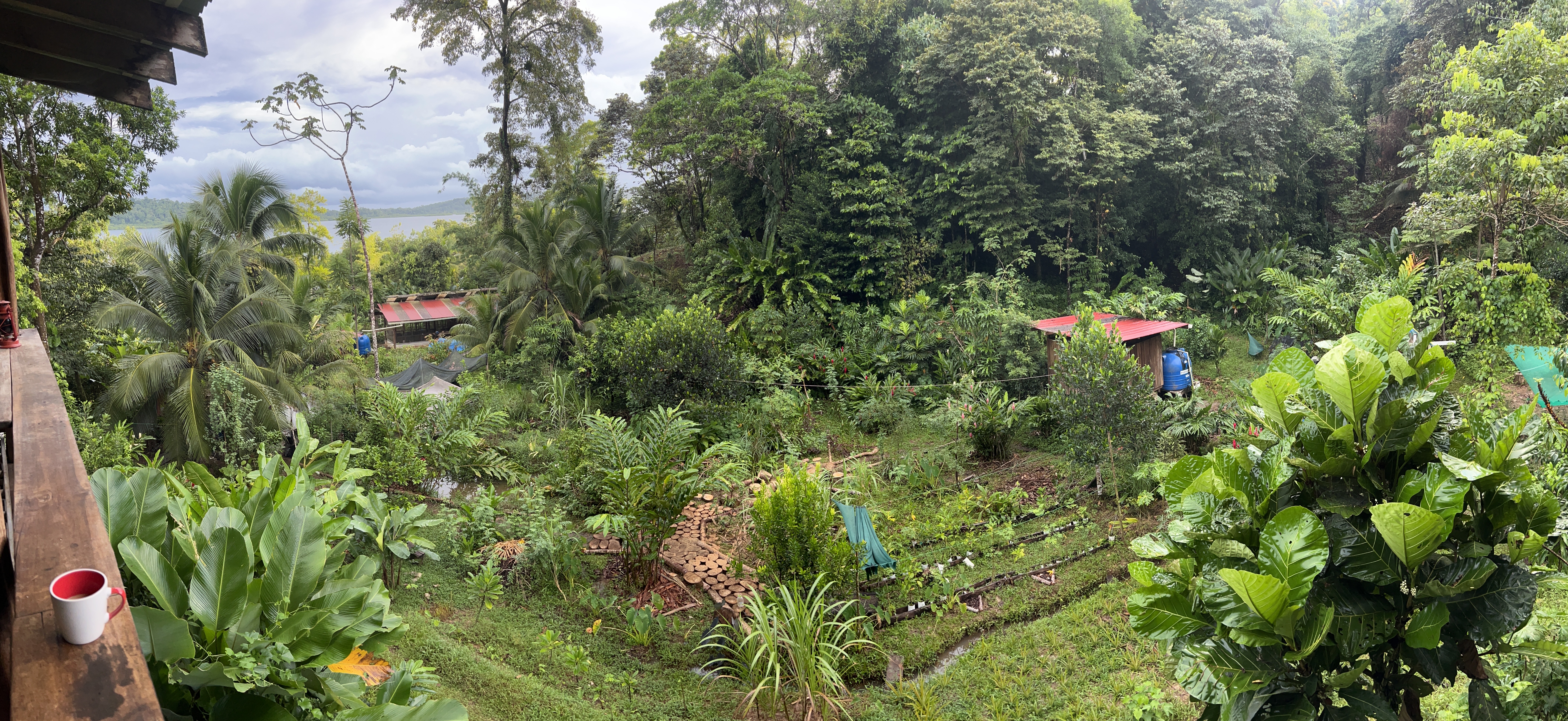 Tour vespertino de la finca
