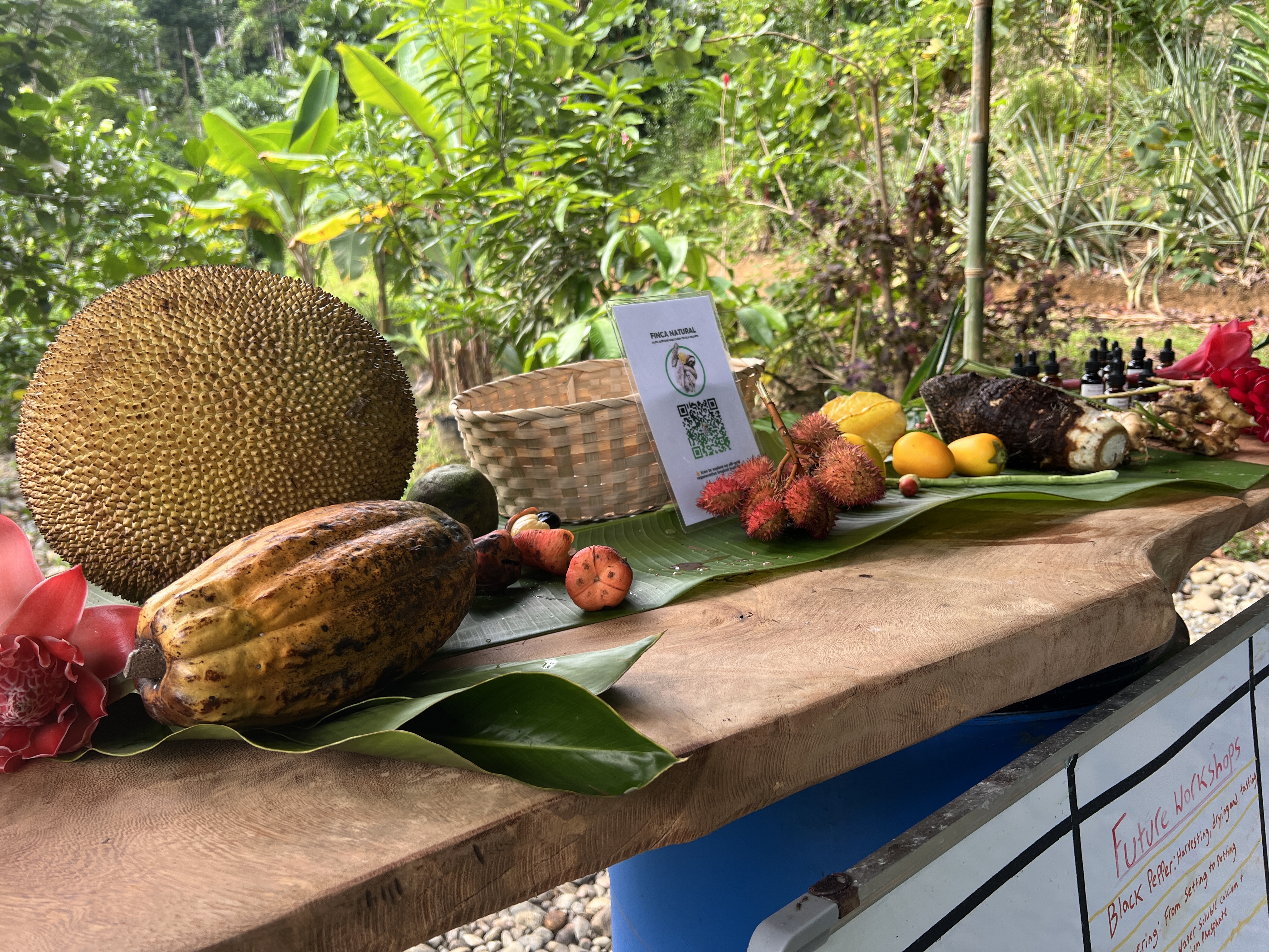 Tour matutino de la finca