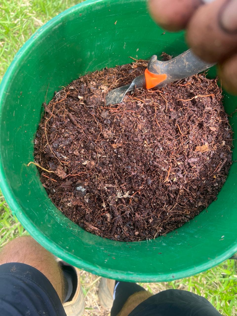 Worm-rich potting soil